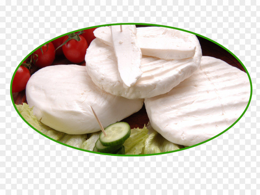Milk Beyaz Peynir Sheep Cheese Dairy Products PNG
