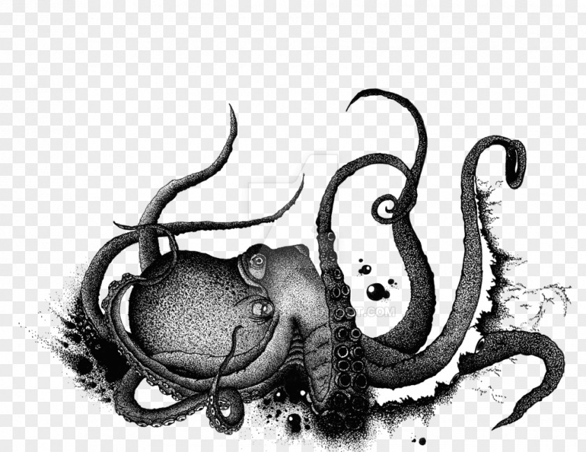 Bruises Octopus Drawing /m/02csf White Font PNG