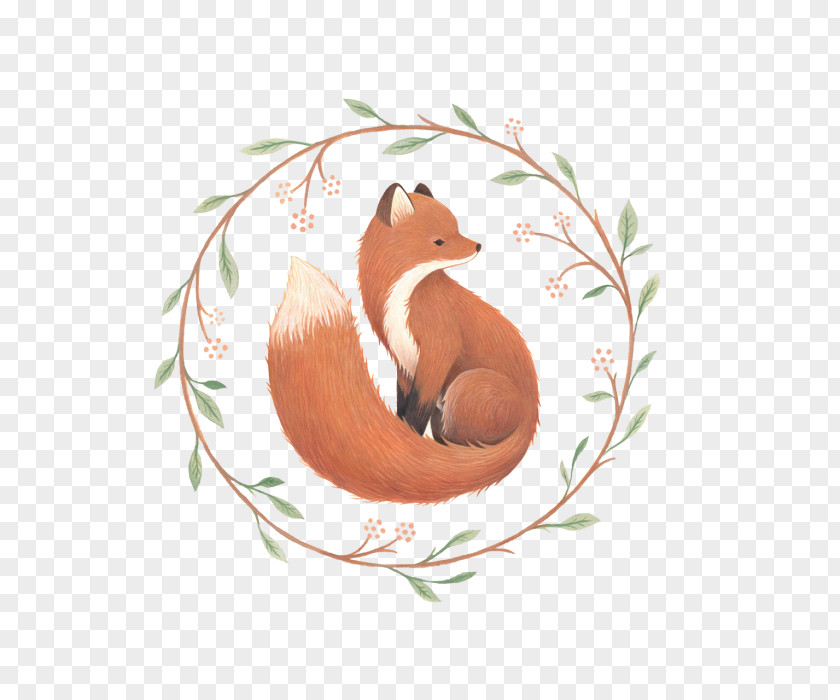 Fox Red Drawing Art PNG