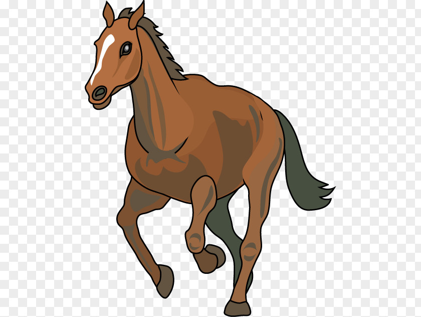 Horse Cliparts Alternative Uses For Placenta Thoroughbred Clip Art PNG