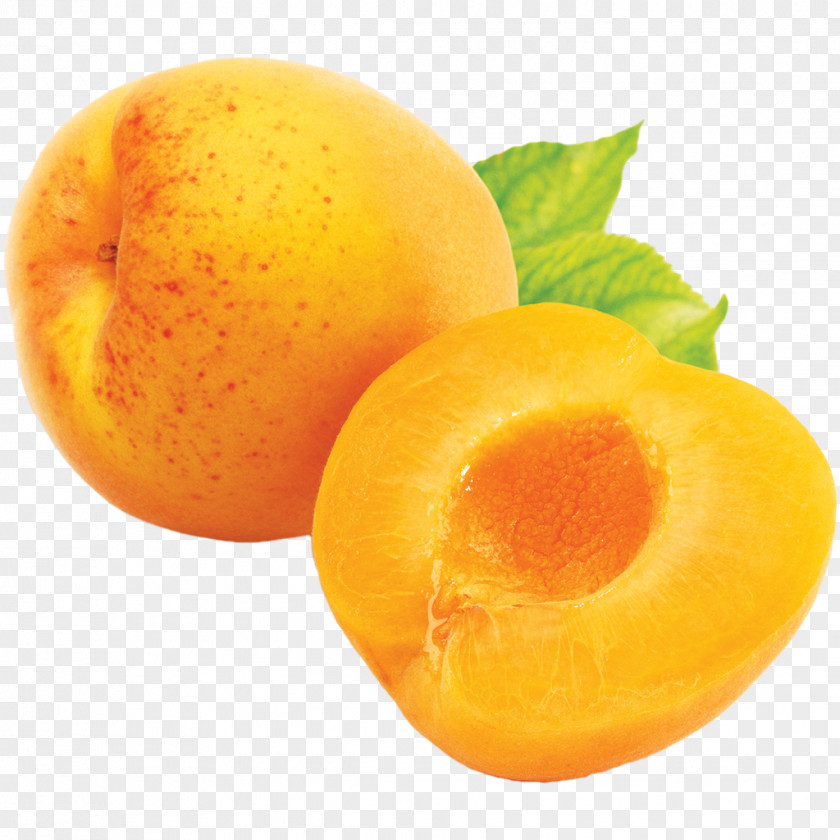 Apricot Fruit PNG