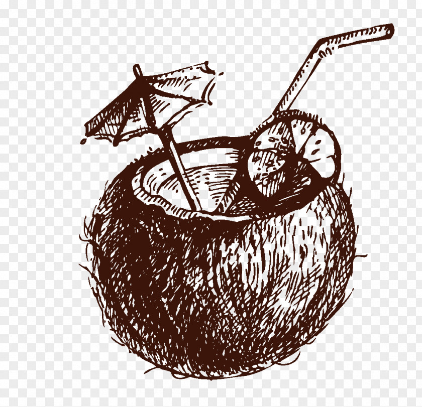 Coconut Cocktail Water Drawing PNG