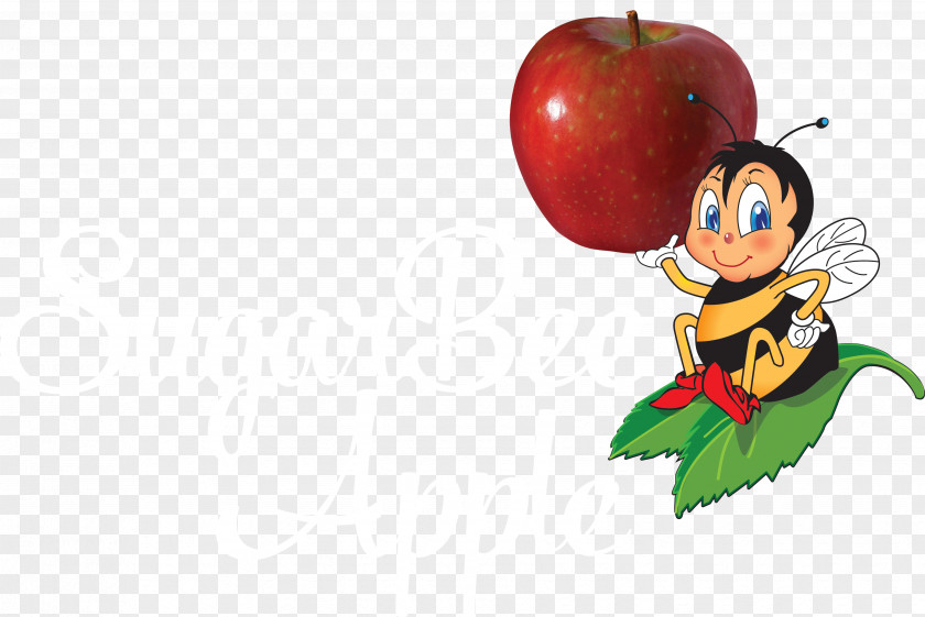 Apple SugarBee Honeycrisp Clip Art PNG