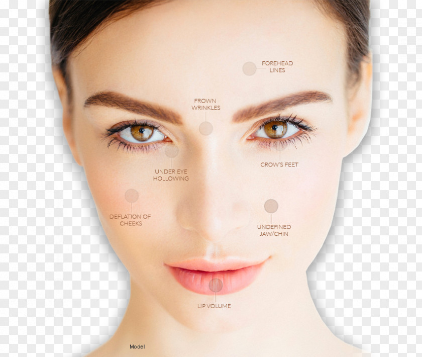Cosmetic Dermatology Eyebrow Permanent Makeup Threading Cosmetics Exfoliation PNG