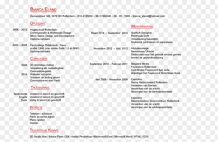 Curriculum Vitae Flyer Document Career Portfolio PNG