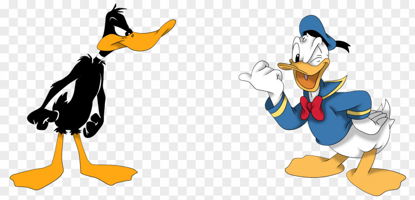 DUCK Daffy Duck Donald Daisy Bugs Bunny PNG