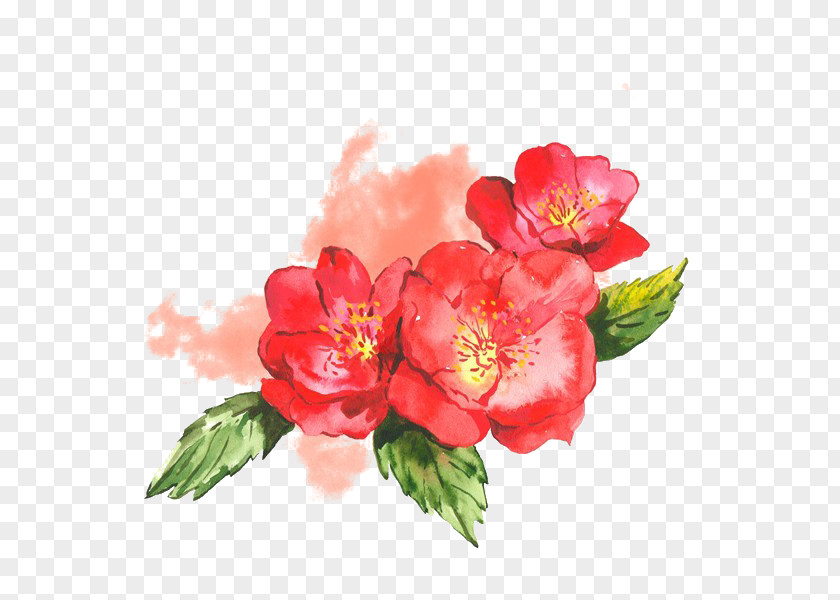 Watercolor Flower Design Elements PNG flower design elements clipart PNG