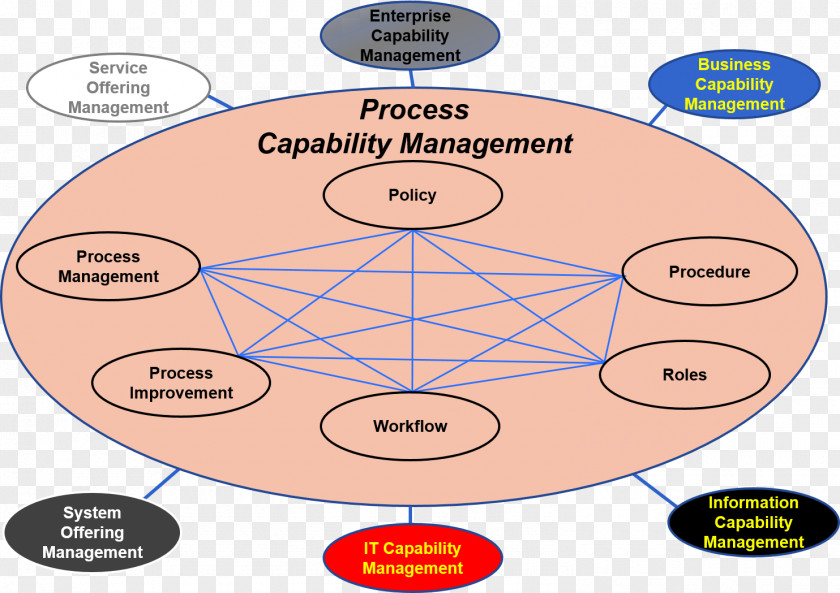 Business Organization Process Architecture Capability Management PNG