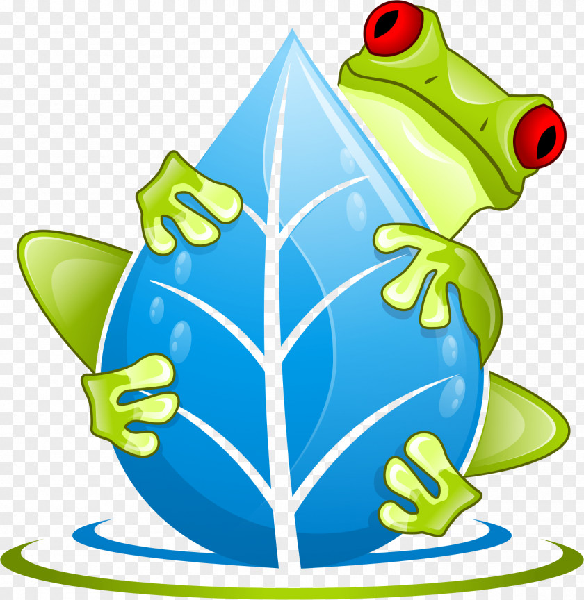 Frog Tree Amphibian The Swamp School, LLC True PNG