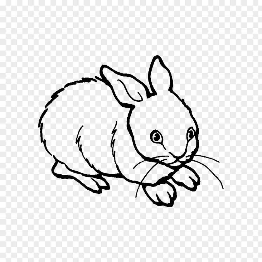 Rabbit European Drawing Painting PNG