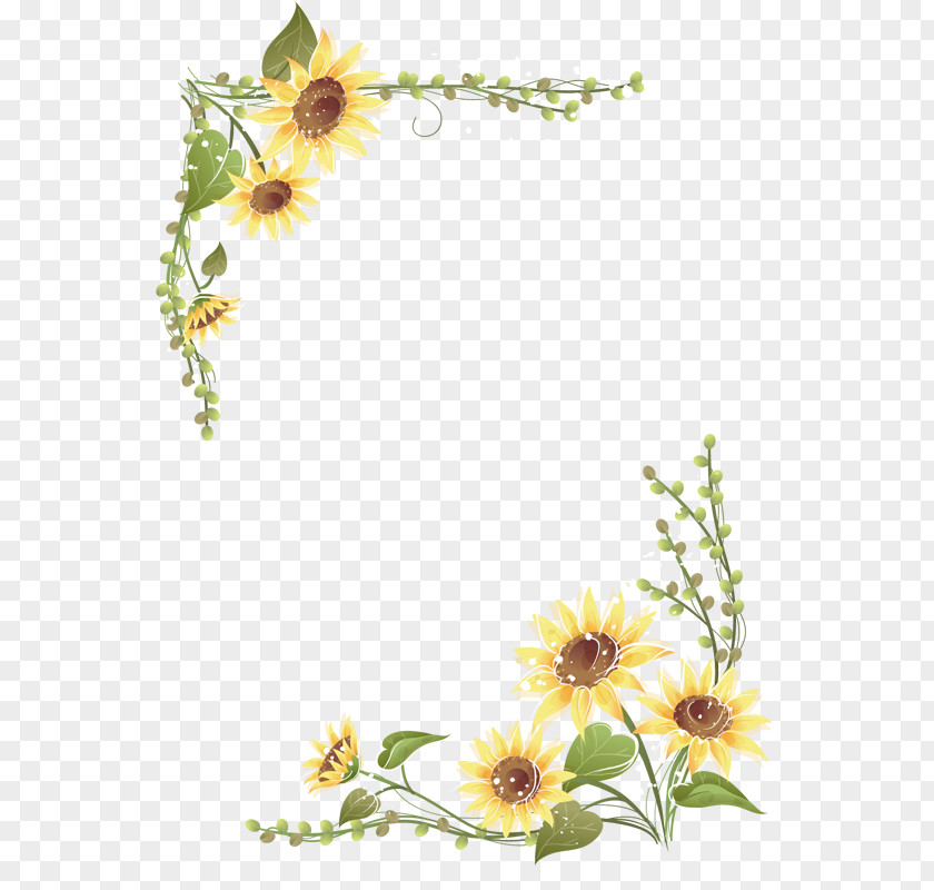 Sunflower Menu Lace Common Clip Art PNG