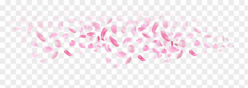 Wedding Petals Petal Marriage PNG