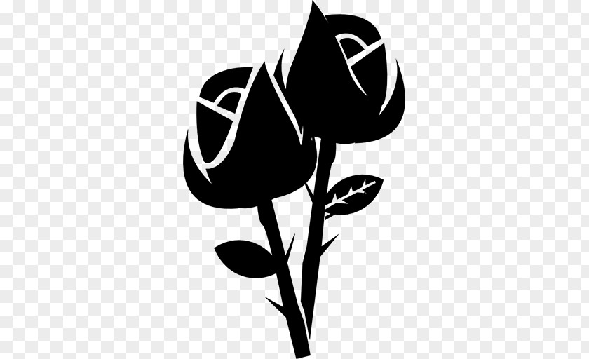 Bouquet Of Flowers Black Rose Flower Floribunda PNG