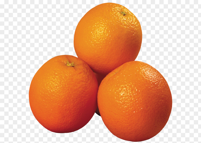 Orange Mandarin Kinnow Clip Art PNG