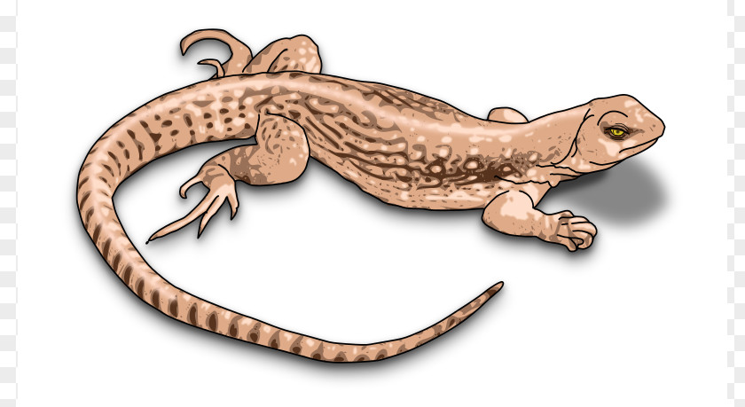 Reptile Cliparts Komodo Dragon Lizard Chameleons Common Iguanas Clip Art PNG