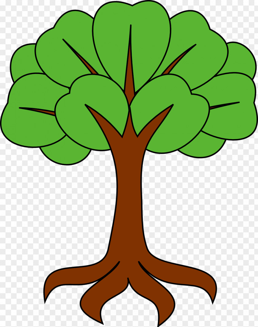 Tree Branch Stock.xchng Image Vector Graphics PNG