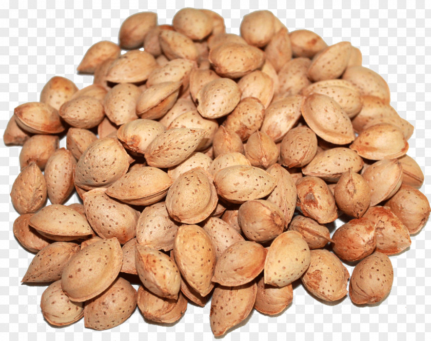 Almond Srinagar Nut Dried Fruit Wholesale PNG