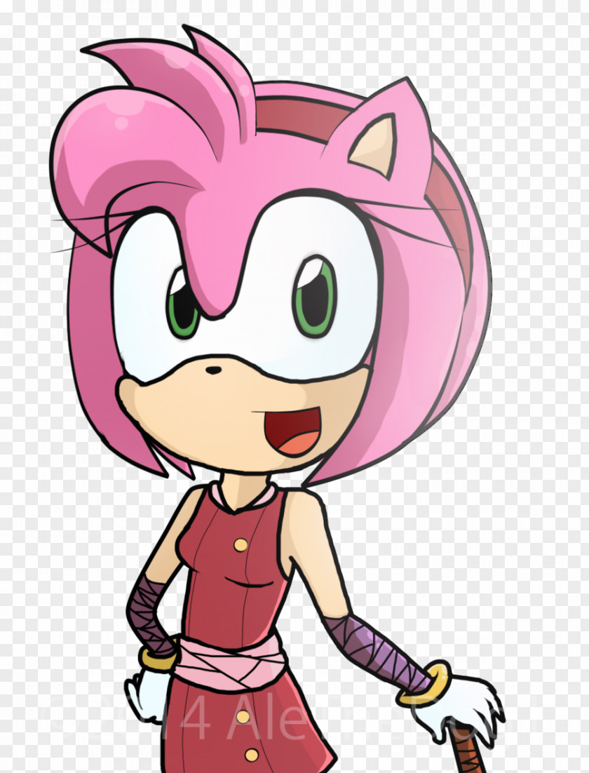 Amy Rose Sonic Riders: Zero Gravity Shadow The Hedgehog Metal PNG