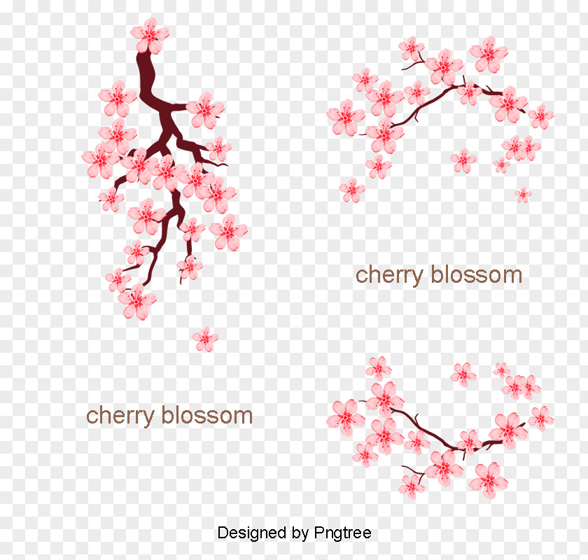 Cherry Blossom ST.AU.150 MIN.V.UNC.NR AD Flora Design Desktop Wallpaper PNG