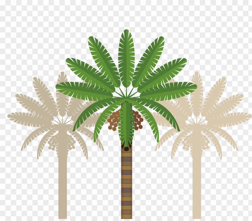 Coconut Tree Abu Dhabi Dubai Clip Art PNG