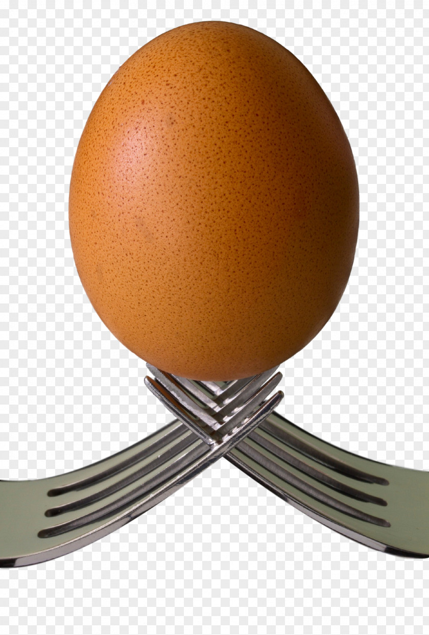 Egg Chicken Stock Photography PNG
