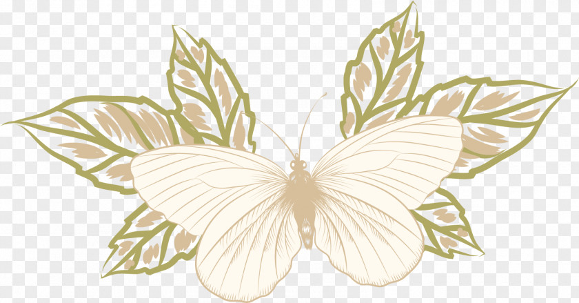 Hand Painted Butterfly Material Drawing PNG