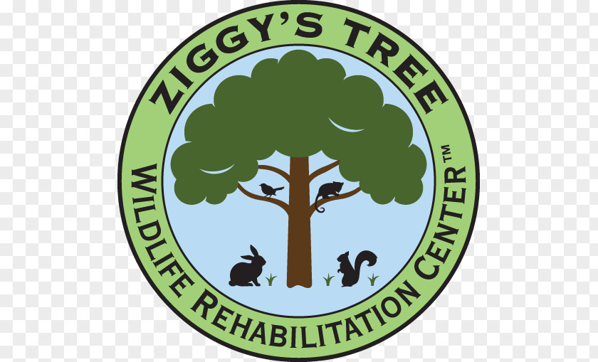 Logo Tree Organization Font Brand PNG