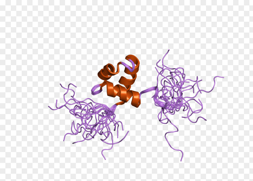 Protein Schizosaccharomyces Pombe Gene Cell Cycle PNG