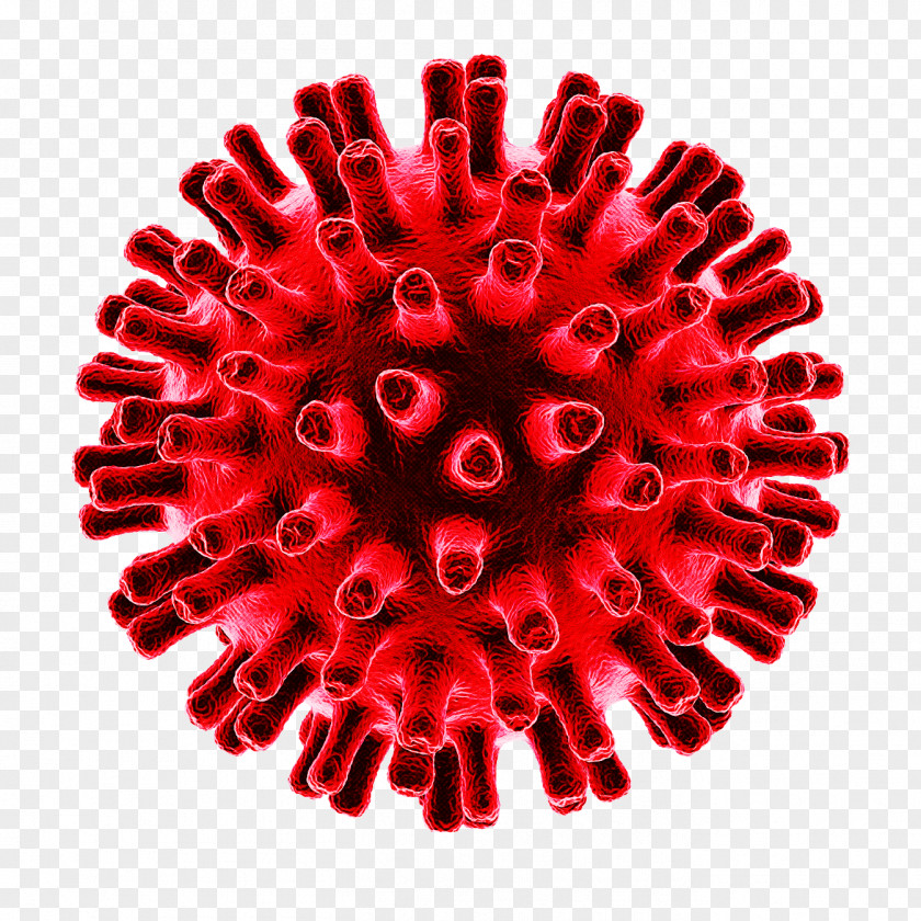 2019–20 Coronavirus Pandemic Virus Disease 2019 PNG