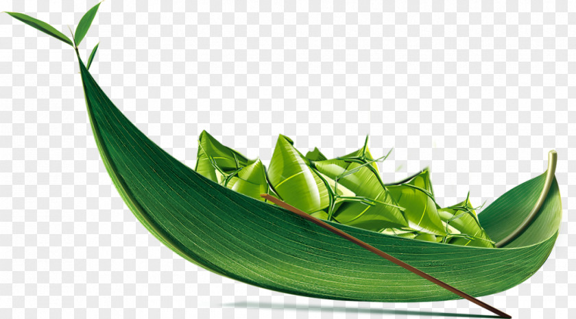 Design Zongzi Dragon Boat Festival Traditional Chinese Holidays PNG