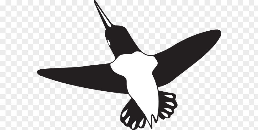Humming Bird Beak Hummingbird Wing Clip Art PNG