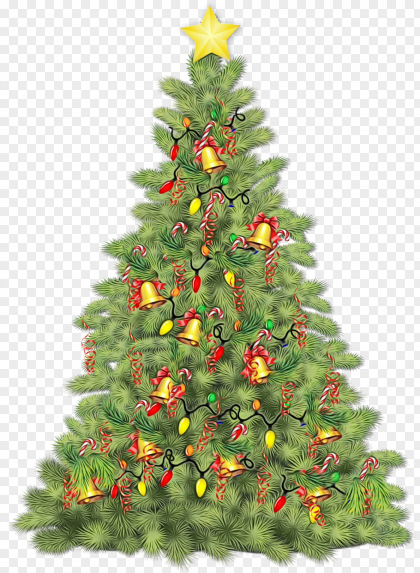 Plant Christmas Ornament Decoration PNG