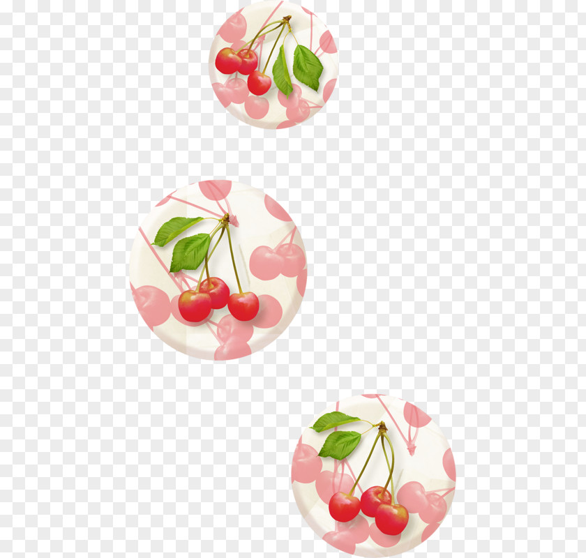 Red Cherry Download PNG