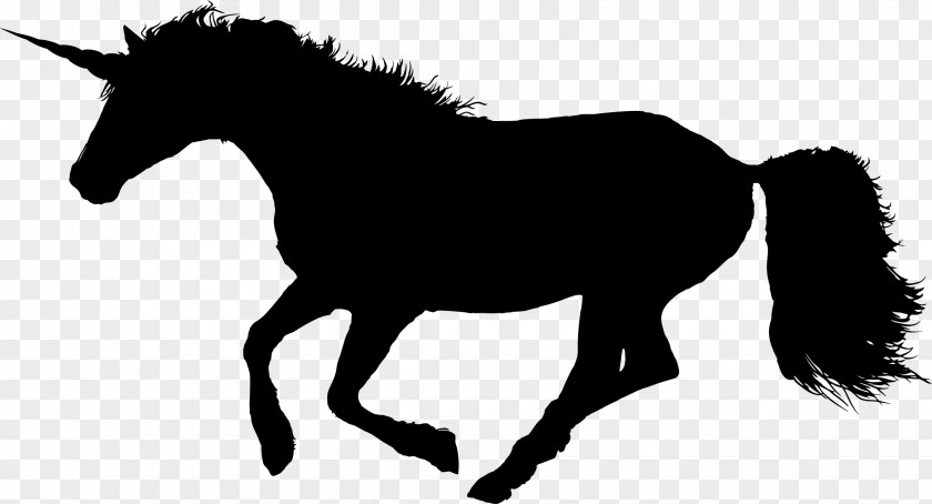 Unicorn Horn Horse Canter And Gallop Equestrian Clip Art PNG