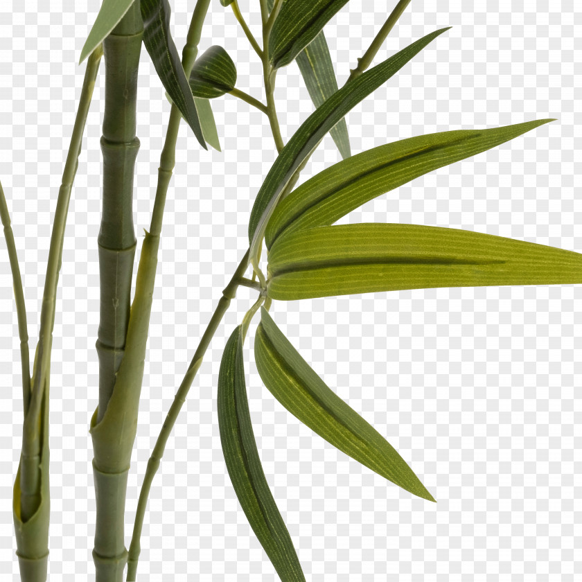 Bambou Artificiel H150cm Plant Stem Plants Vase PNG