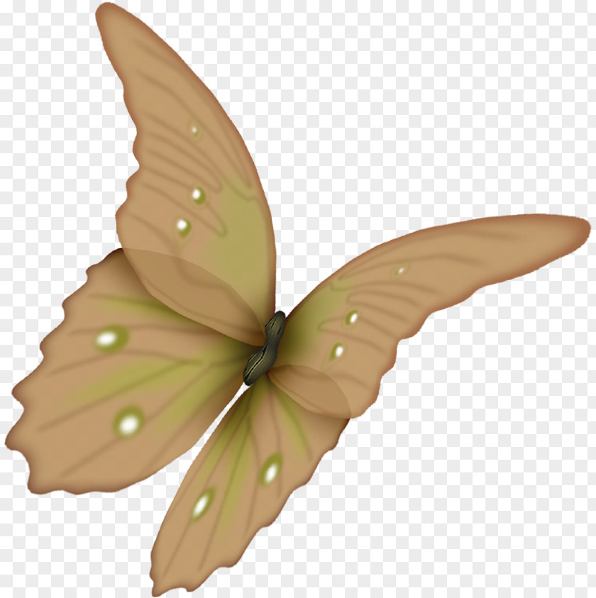 Butterfly Flower Paper Clip Art PNG
