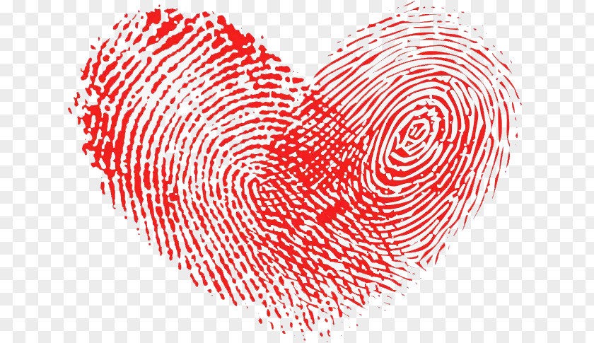 Dia Del Maestro Fingerprint Love Heart PNG
