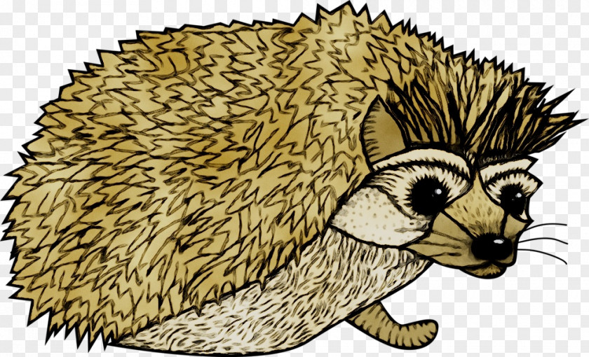 Domesticated Hedgehog European Porcupine Dog PNG