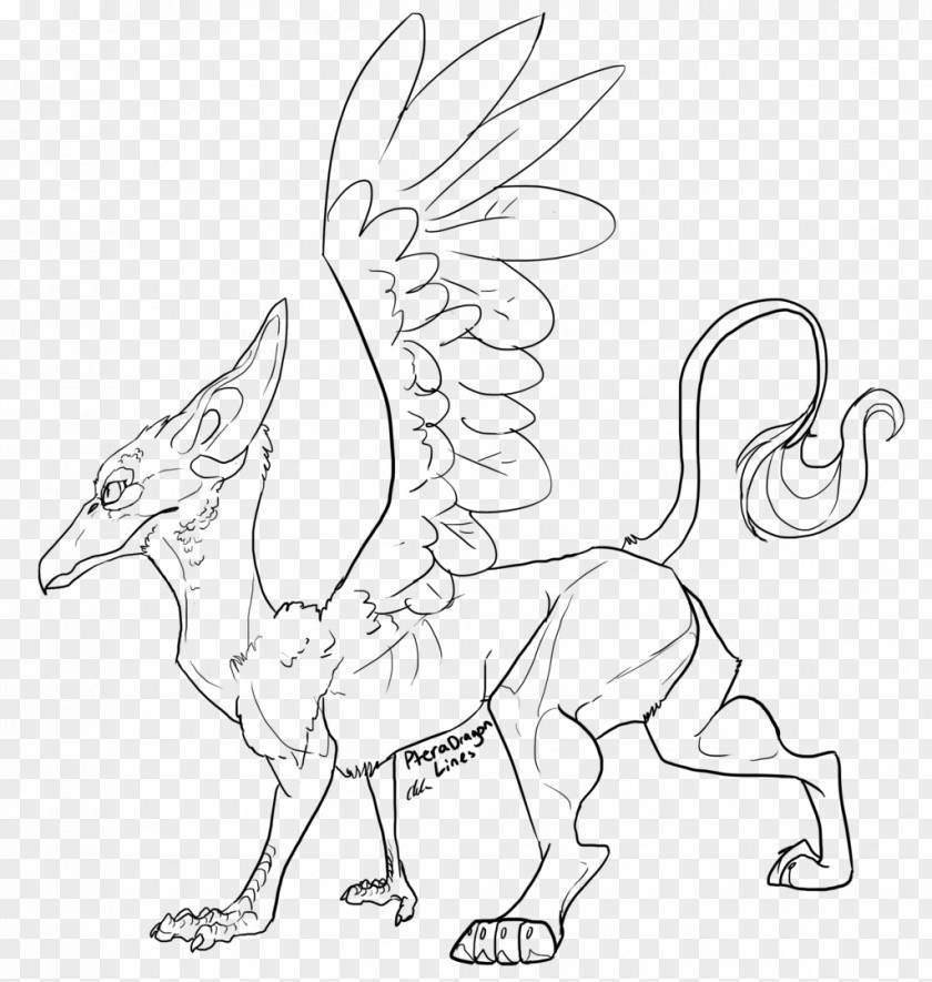 Griffin Line Art Drawing Character PNG