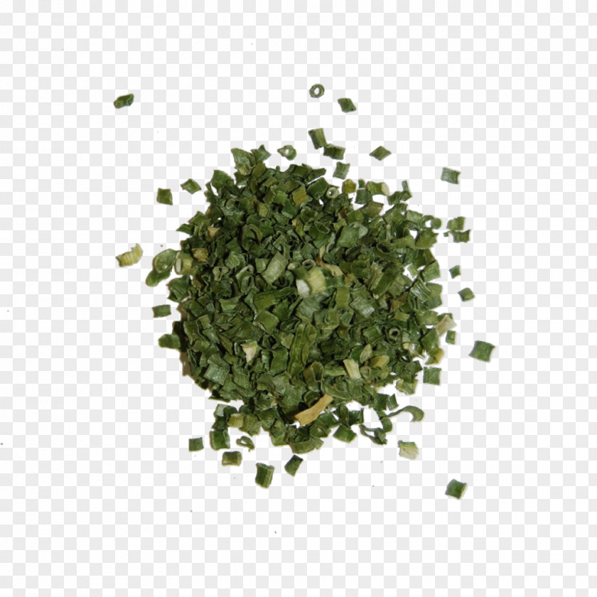Herb Spice Omelette Coriander PNG