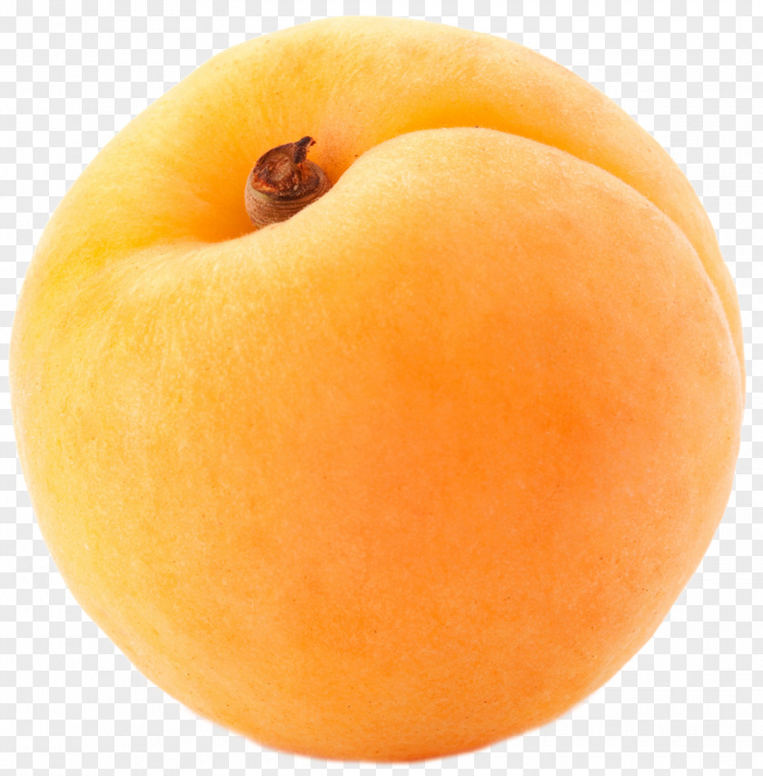 Large Apricot Clipart Peach Orange Peel Apple PNG