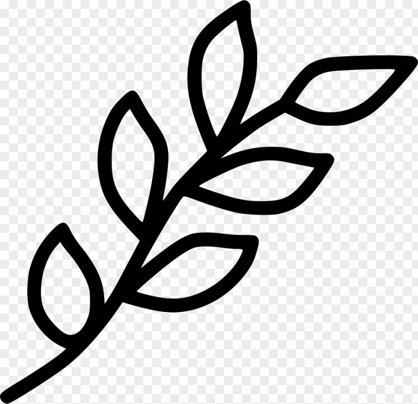 Leaf Clip Art Branch PNG