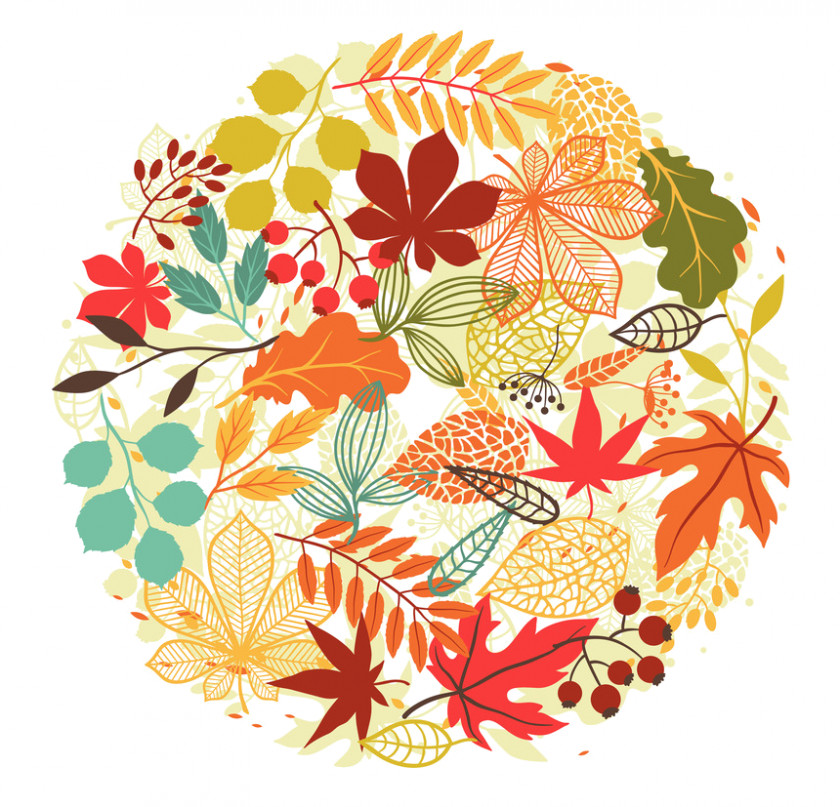 Leaf Floral Design Autumn Color Maple PNG