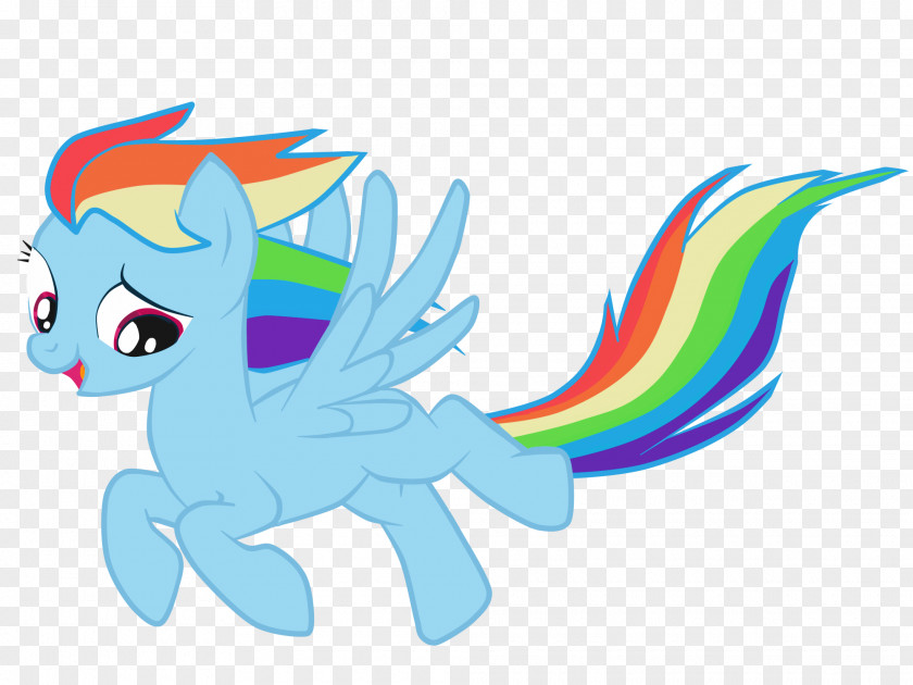 Rainbow Dash Twilight Sparkle Pony PNG