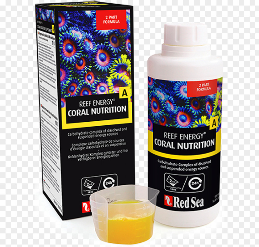 Supplementary Energy Dietary Supplement Red Sea Coral Reef PNG