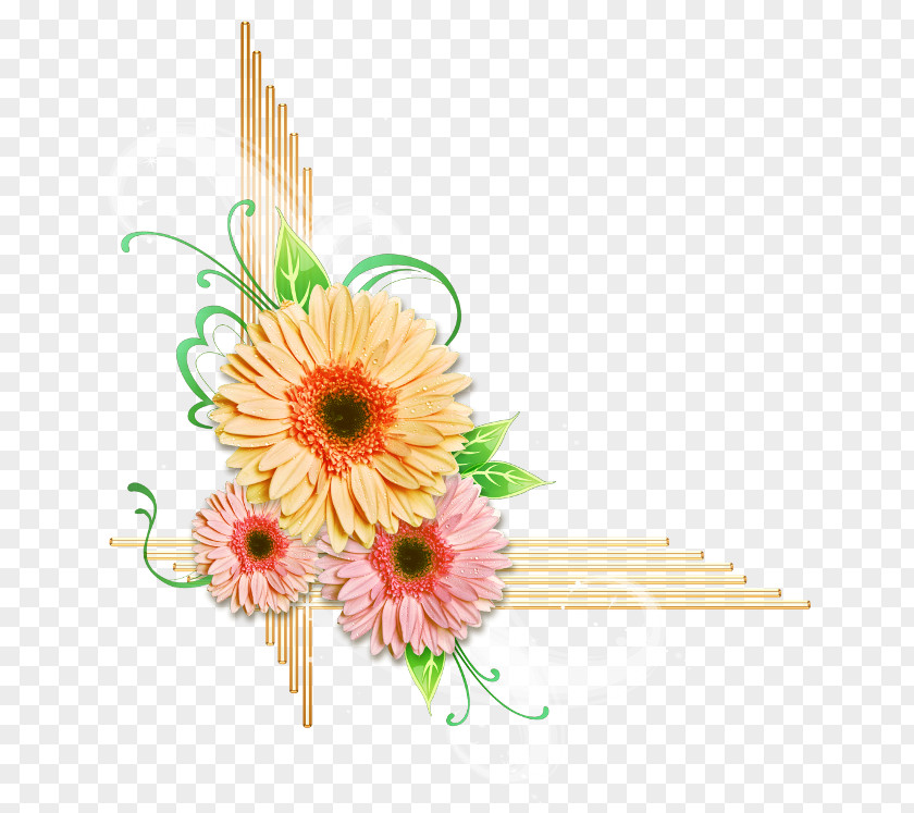 Flower Cut Flowers Floral Design Transvaal Daisy PNG