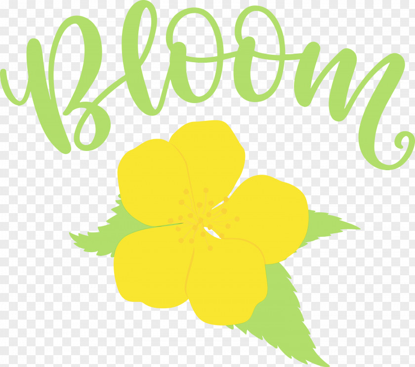 Flower Logo Petal Green Leaf PNG