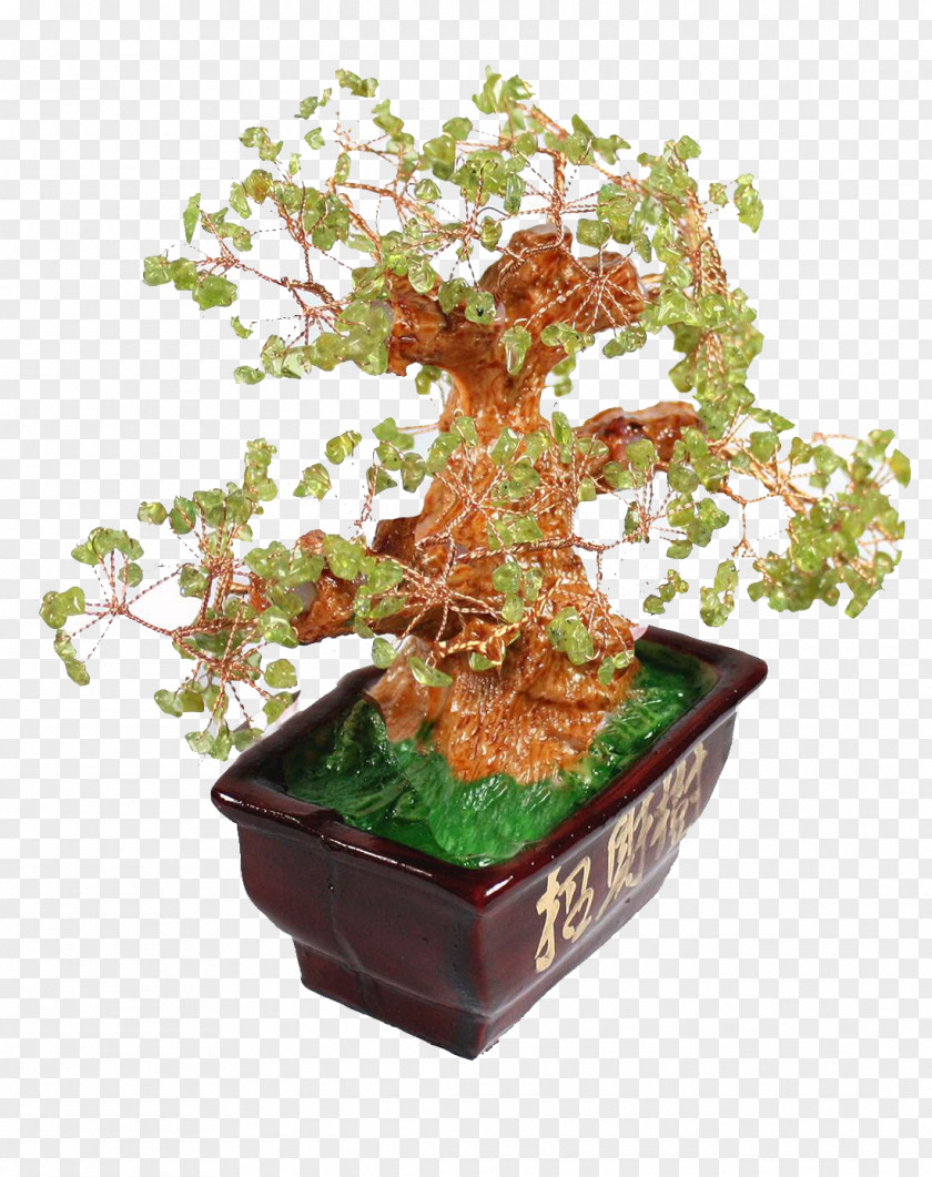 Lucky Tree Bonsai Free To Pull Material Sageretia Theezans Flowerpot PNG