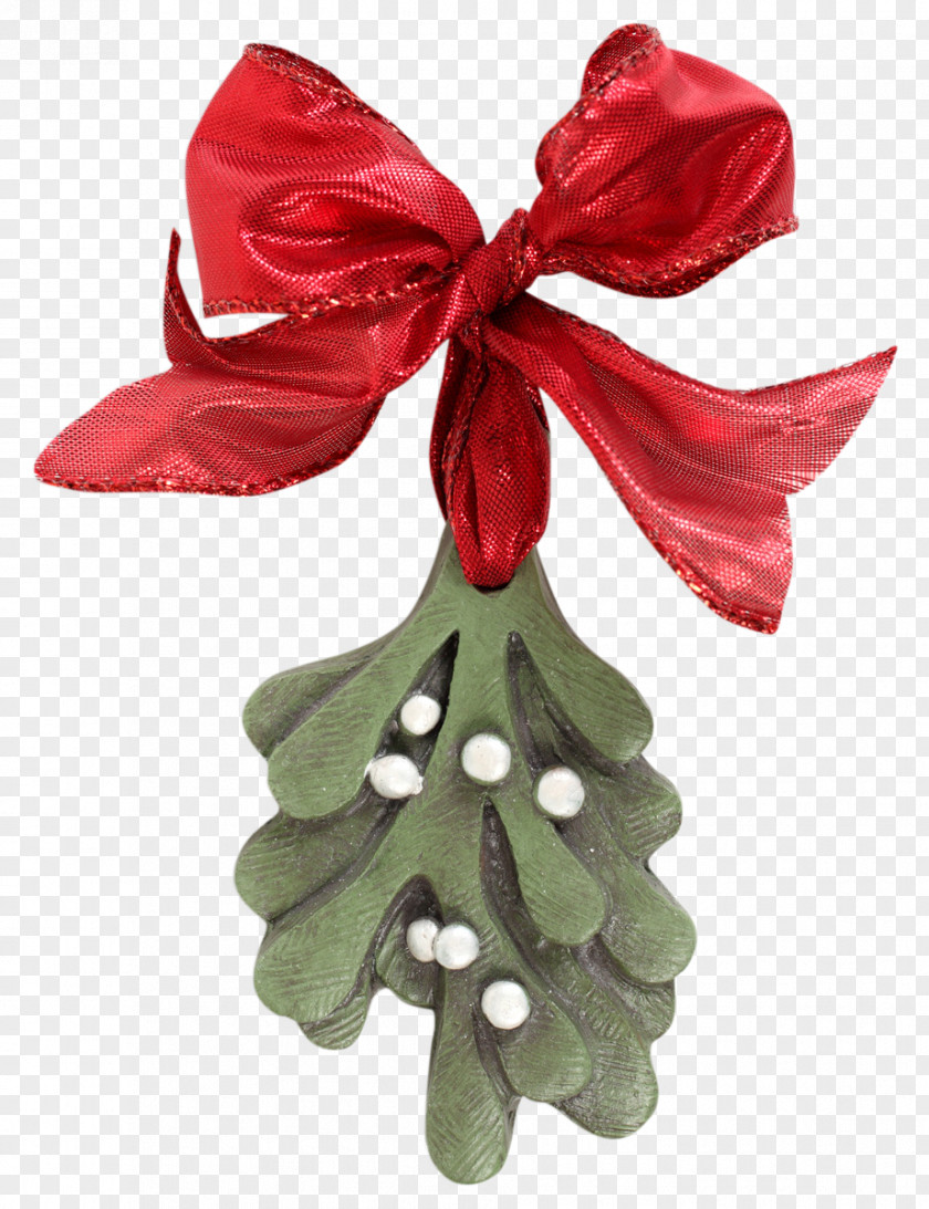 Mistletoe Flower Bouquet Floristry Bride Christmas Decoration PNG