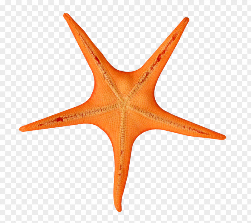Star Orange PNG